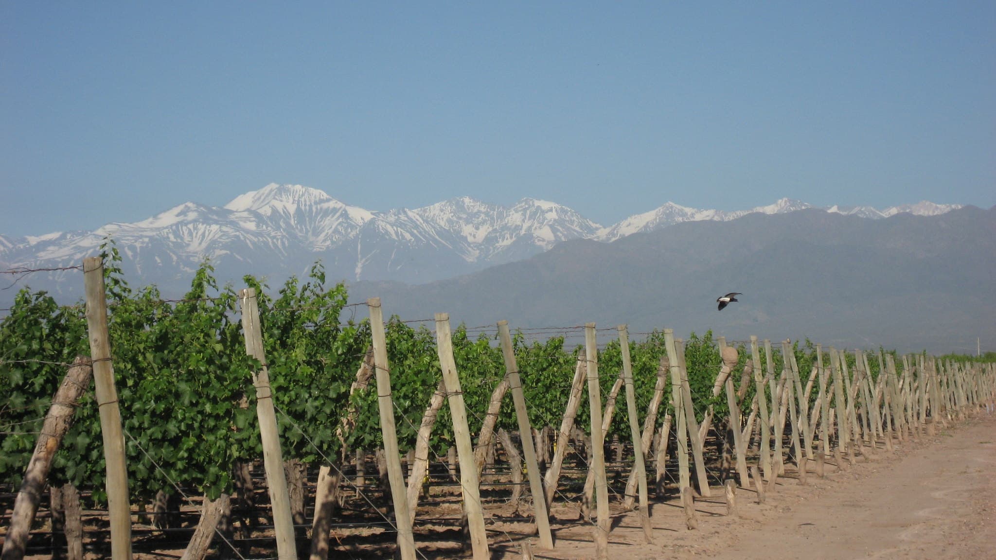 Jardines y exterior de bodega en Mendoza