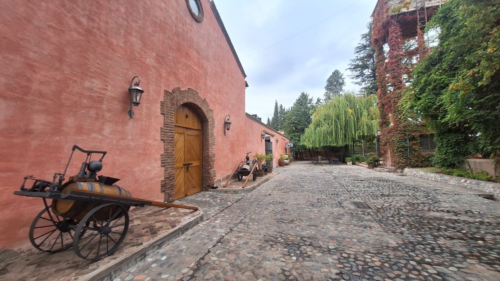 Camino y entorno de viñedos en Mendoza