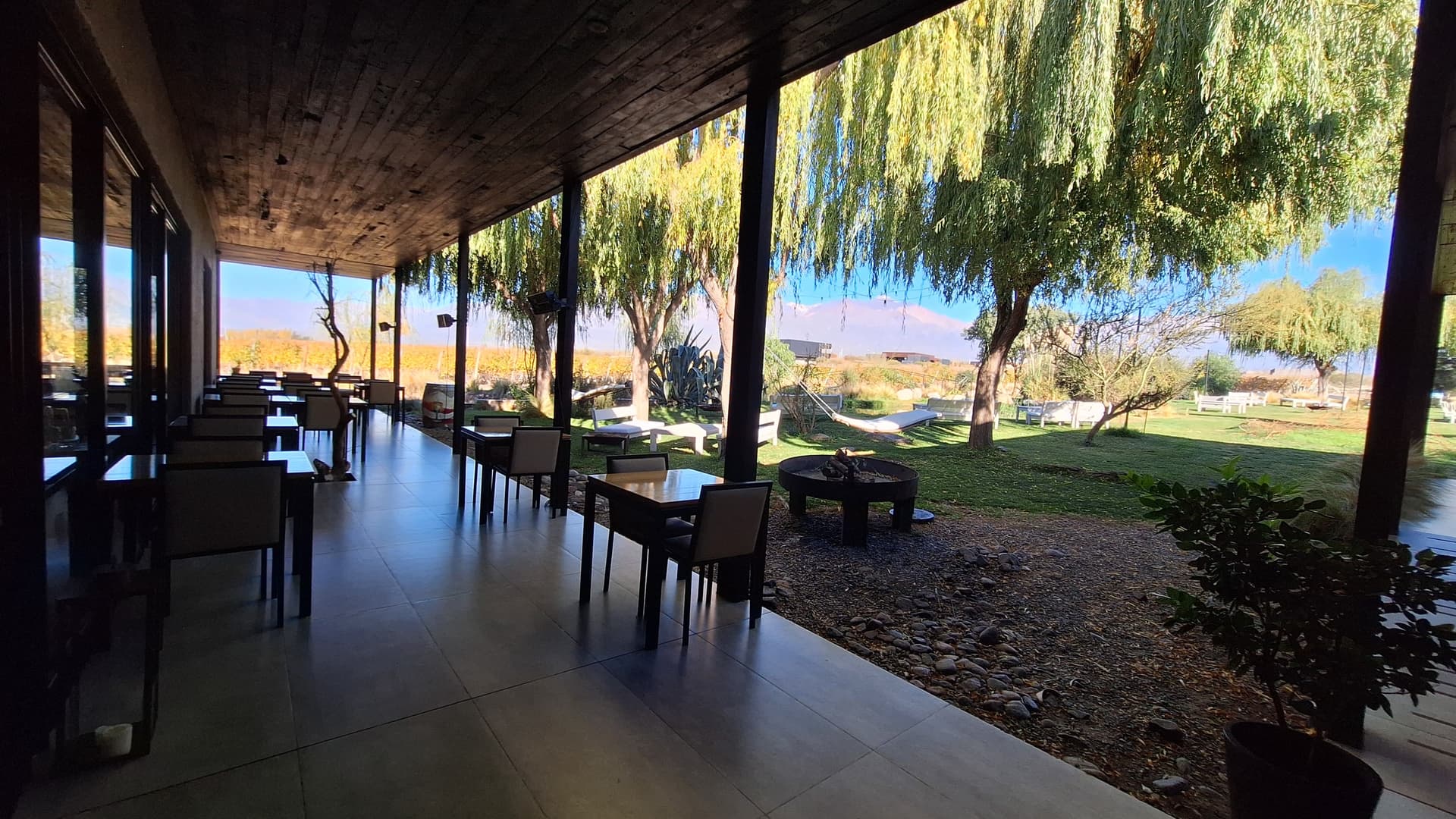 Vista de viñedos y paisaje mendocino para un paseo entre bodegas